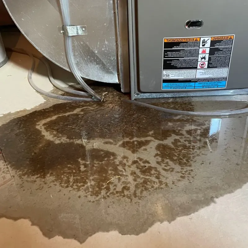 Pipe Burst and Leak Restoration in Clairton, PA