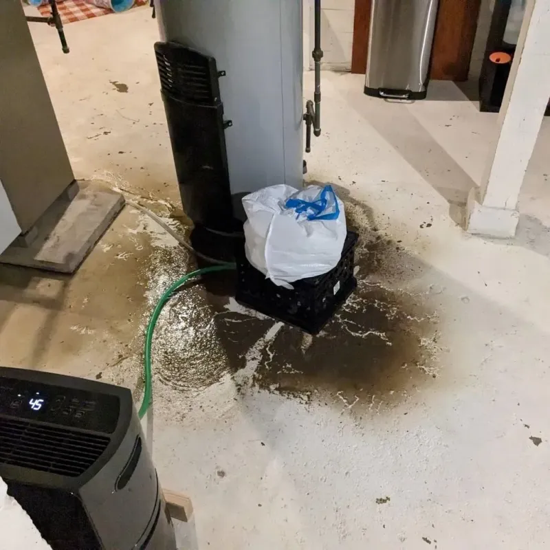 Sewage Backup Cleanup Service in Clairton, PA